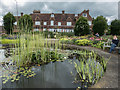 Royal National Rose Society Garden, St Albans, Hertfordshire