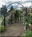 Arch, Royal National Rose Society Garden, St Albans, Hertfordshire