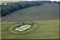 Pond in fields at Hale, from the air