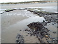 SH7679 : Submerged Forest and peat exposed at low tide on Morfa Beach, Conwy. by Leanne Roden