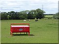 Horses and feeder at Field House Farm