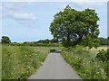 NZ4827 : National Cycle Network route 14 near Greatham by Oliver Dixon