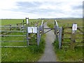 NZ5229 : The path to North Gare Sands by Oliver Dixon