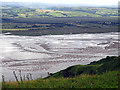 Mud in the Dyfi