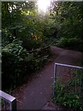 SZ0895 : Redhill: the glow of the subway on bridleway O14 by Chris Downer