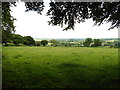 Pasture near West Farm