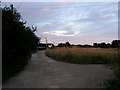 Throop: scattered houses in Careys Road