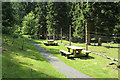 Picnic Area at the Deer Park