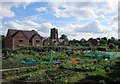 Allotments and St. Anne