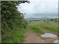 The valley of the Sheepham Brook