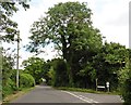 Junction on Chaffcombe Road