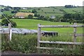 Farming at Knocknacarry