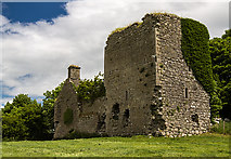 N0626 : Castles of Leinster: Clonlyon, Co. Offaly (1) by Mike Searle