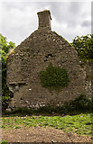 N0626 : Castles of Leinster: Clonlyon, Co. Offaly (3) by Mike Searle