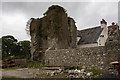 N5757 : Castles of Leinster: Killagh, Co. Westmeath (1) by Mike Searle