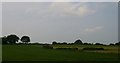 Fields at Stretton Heath