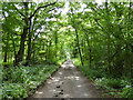 Public byway from Bayford to White Stubbs Lane