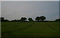 Hillside north of Hanwood