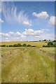 SP2841 : Farmland headland by Philip Halling