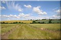 Rolling arable farmland near Honington