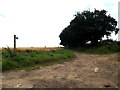 TM0078 : Gipsy Lane Byway to the C638 New Common Road by Geographer