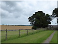 Farmland south-east of Chidden