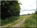 TM0178 : Footpath to Hinderclay Fen by Geographer