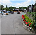 Red flowers below the  Red Door Deli & Diner, Mitchel Troy