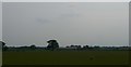 Lower Upton Farm from the railway