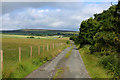 Country Lane leading towards Bellerby