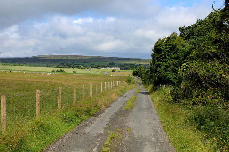 Country Lane leading towards Bellerby © Chris Heaton cc-by-sa/2.0 ...