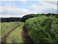 Track to Castle Farm Lane