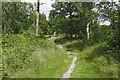 Footpath, Chobham Common