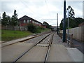 Tramway heading south from Ruddington Lane