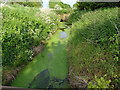 Strine Brook north of Eyton upon the Weald Moors