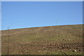 Hillside above the Tamar Valley Line