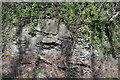 Rock outcrop by The Tamar Valley Line