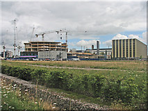 TL4654 : Cranes and the new Papworth Hospital by John Sutton