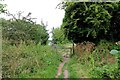 Gate on the Thames Path