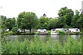 The River Thames by Shillingford Hill Park