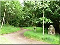 Public footpath alongside Swine Gill, Flakebridge