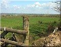 Field by lane to Curtis Cross