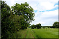 Bridleway near Skelton Cote Farm