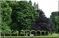 Ballindalloch Castle and Gardens: Tending one of the Clematis arches