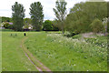 Informal path by a bend of the River Sowe, Lindfield Park, Stoke Aldermoor, Coventry