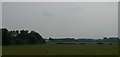 Fields and copse at Ruckley sidings