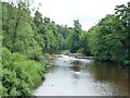 NY6819 : Weir on the River Eden by Christine Johnstone
