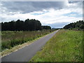 NO5233 : Long straight on cycle path between Barry and Monifieth by Douglas Nelson