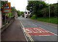 Warning sign - school, Bream Road, Lydney