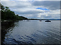 Shoreline at Sallochy